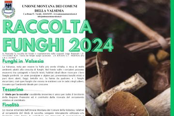 Raccolta funghi 2024 - informazioni