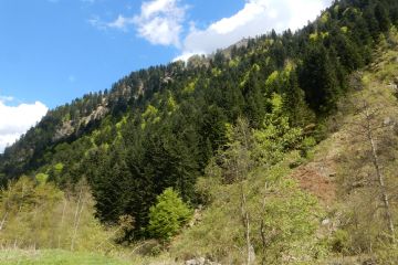 Sfoglia la galleria